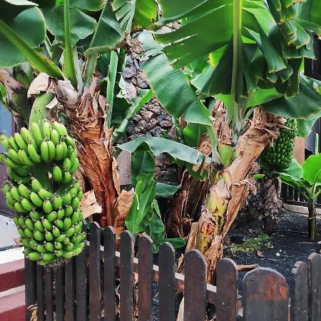 Lucía - El Pequeño Edén Apartamento *