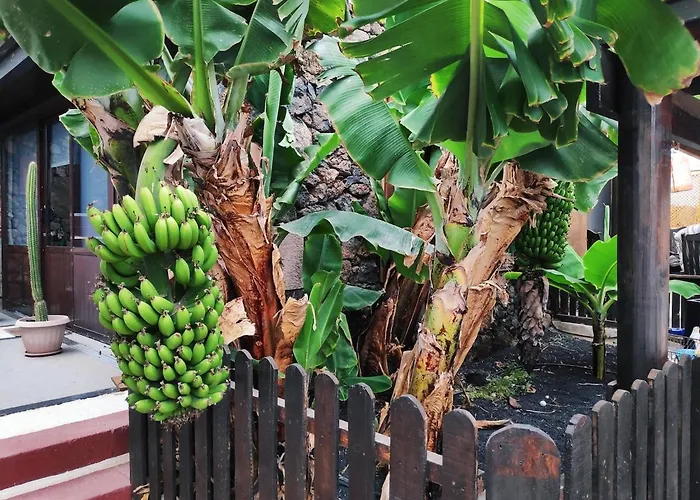 Lucia - El Pequeno Eden Apartament *